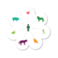 Ícono grupo Pecet